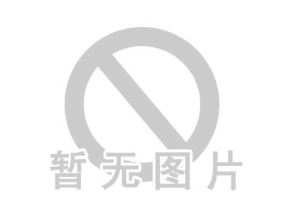 國家重點(diǎn)建設(shè)項(xiàng)目